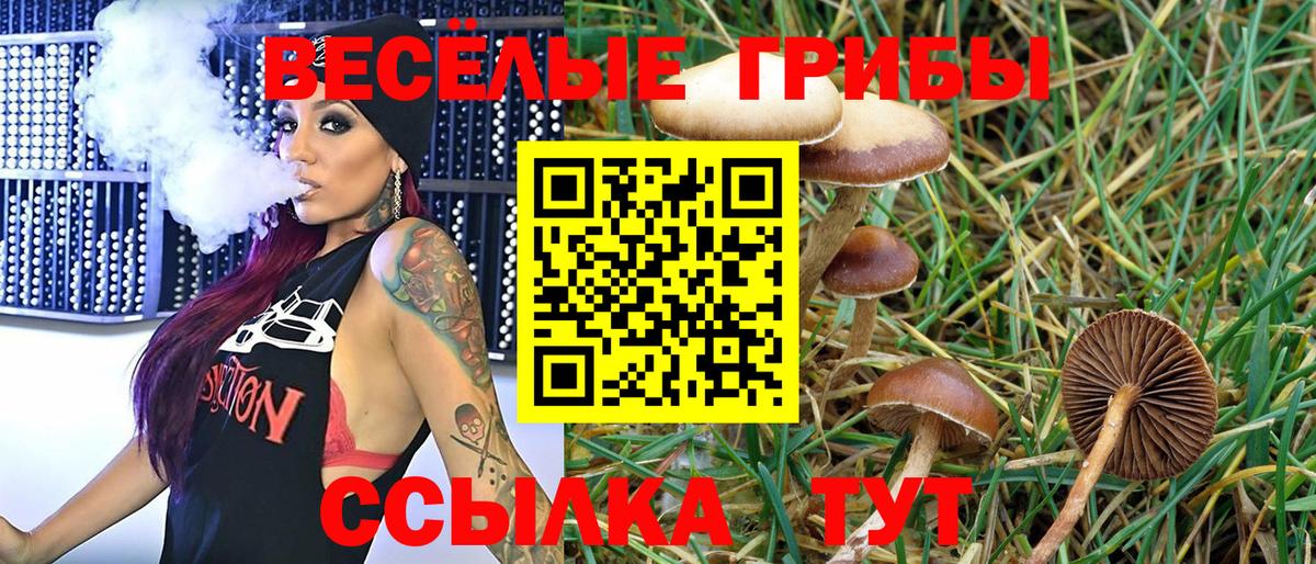 Галлюциногенные грибы GOLDEN TEACHER  Псилоцибиновые грибы Magic Shrooms  Вход с VPN  Курчатов 